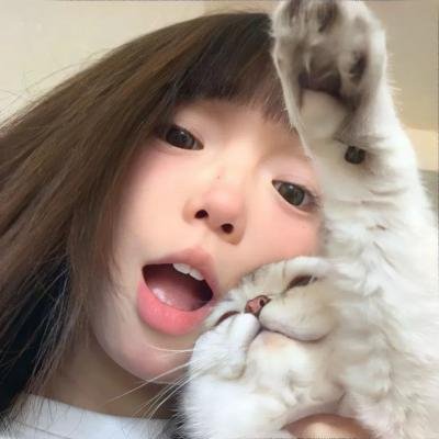 一个小型的专制共和国