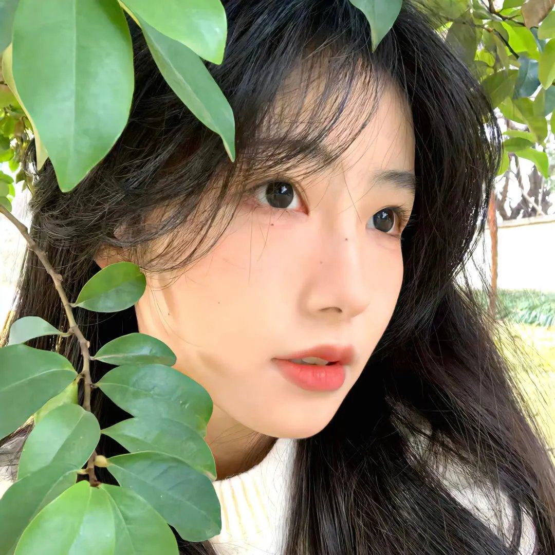 赤月